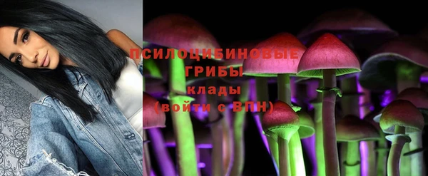дурь Беломорск