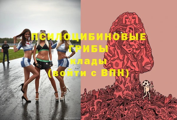 MDMA Богородицк