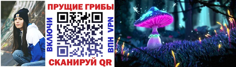 Галлюциногенные грибы MAGIC MUSHROOMS наркошоп Бугуруслан