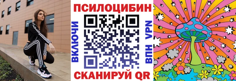 Псилоцибиновые грибы GOLDEN TEACHER Бугуруслан